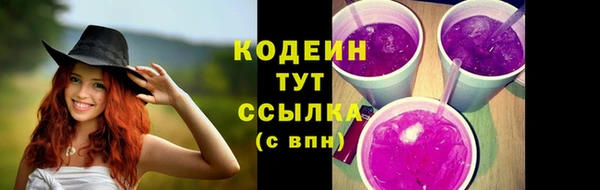 сатива Заводоуковск
