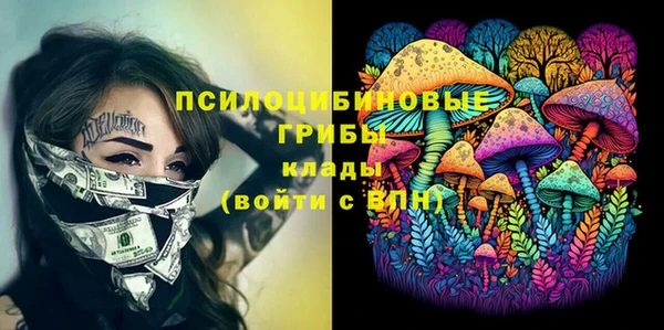 дурь Белоозёрский