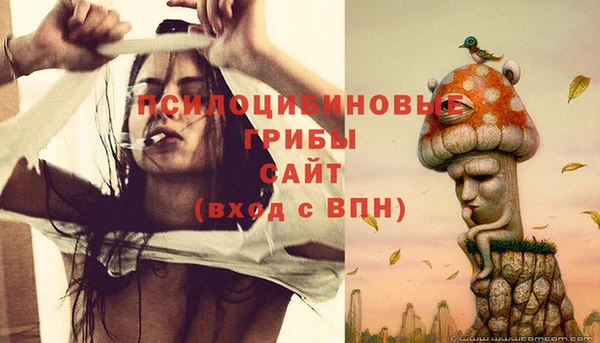 МДМА Белокуриха