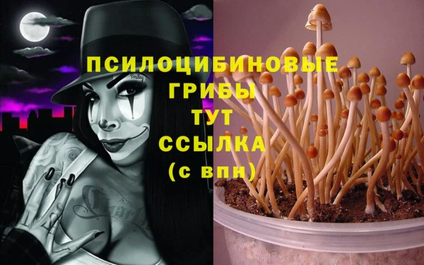 прущая мука Беломорск