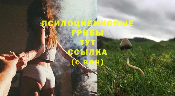 дурь Белоозёрский